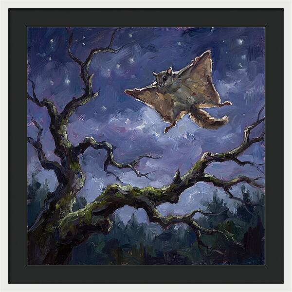Graceful Glide Of The Flying Squirrel