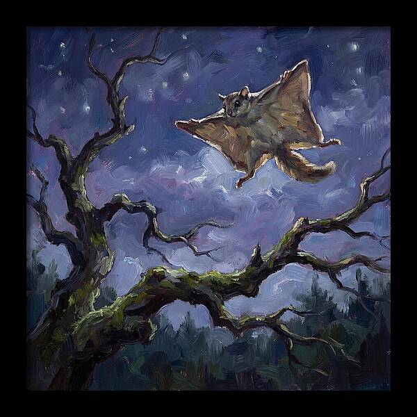 Graceful Glide Of The Flying Squirrel