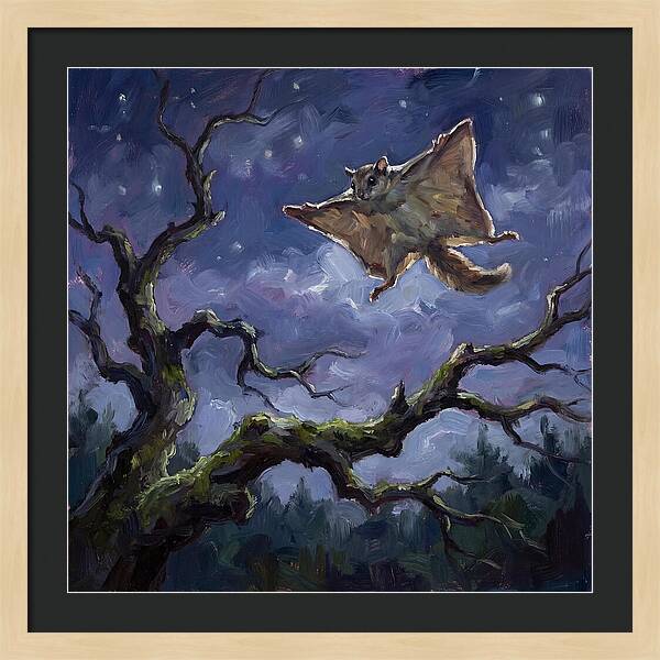 Graceful Glide Of The Flying Squirrel