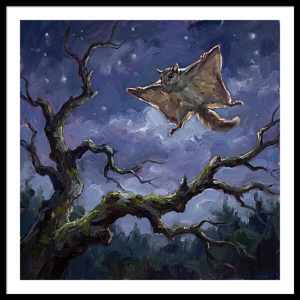 Graceful Glide Of The Flying Squirrel