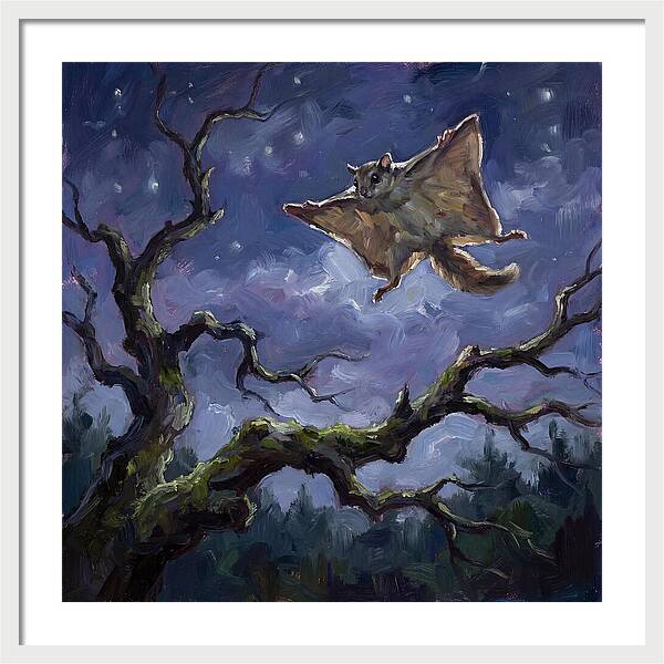 Graceful Glide Of The Flying Squirrel