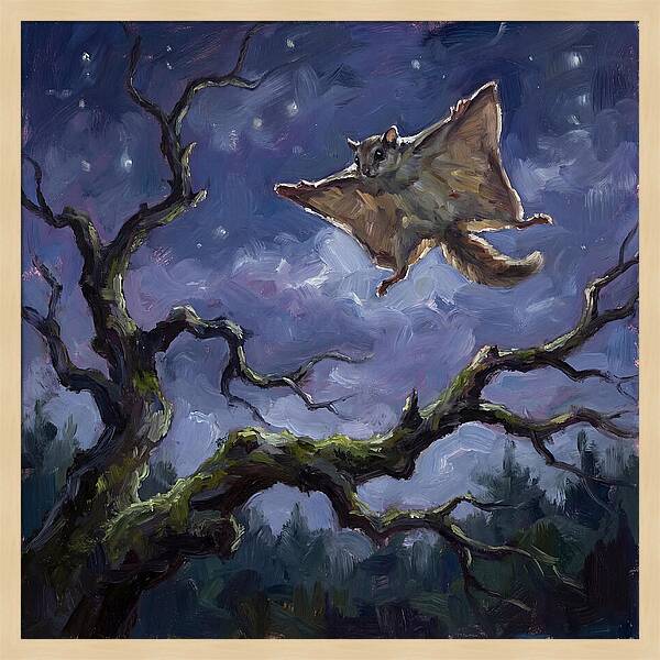 Graceful Glide Of The Flying Squirrel