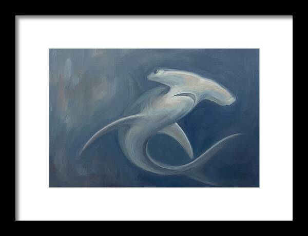 Graceful Hammerhead Shark