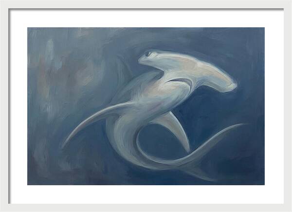 Graceful Hammerhead Shark