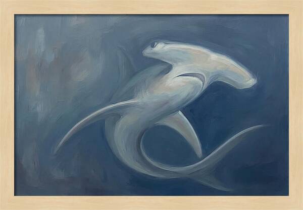 Graceful Hammerhead Shark