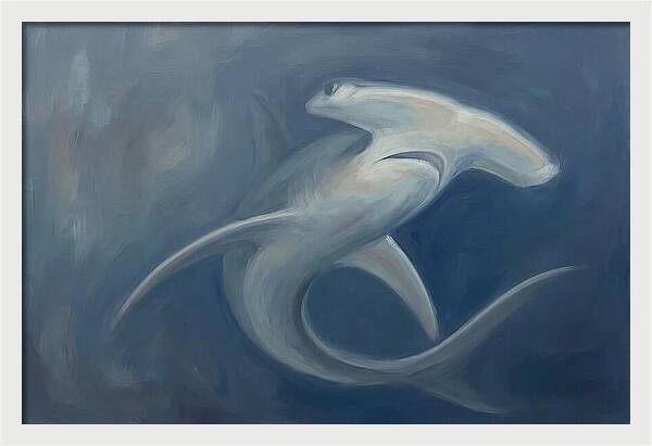 Graceful Hammerhead Shark