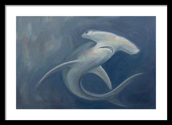 Graceful Hammerhead Shark