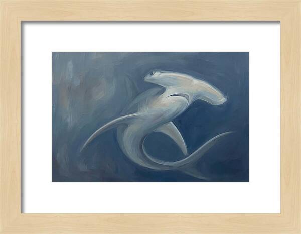 Graceful Hammerhead Shark