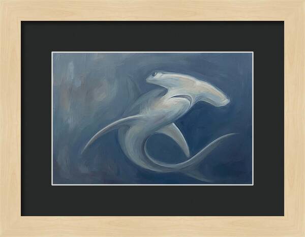 Graceful Hammerhead Shark