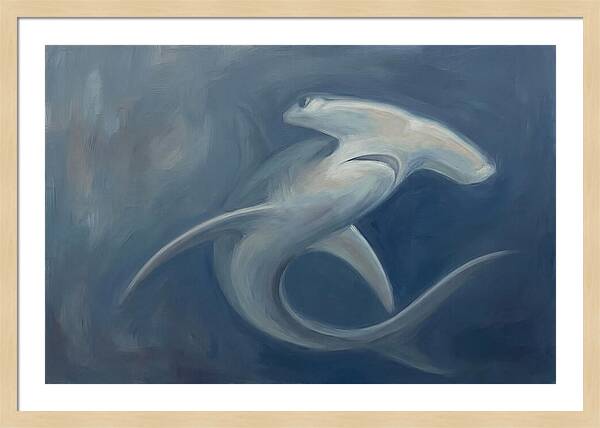 Graceful Hammerhead Shark