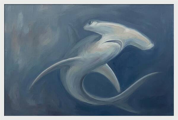 Graceful Hammerhead Shark