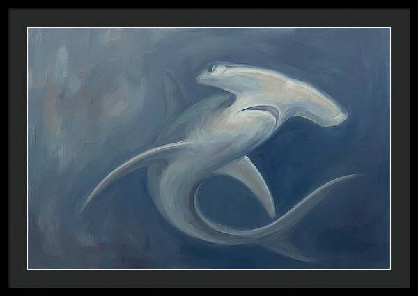 Graceful Hammerhead Shark