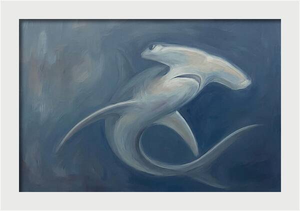 Graceful Hammerhead Shark