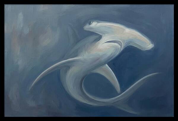 Graceful Hammerhead Shark