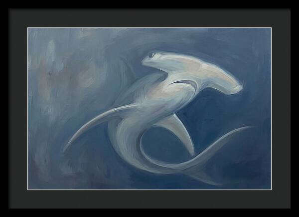 Graceful Hammerhead Shark