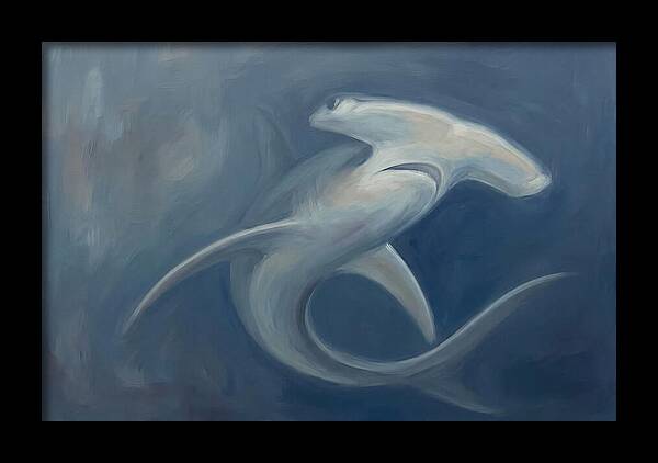 Graceful Hammerhead Shark