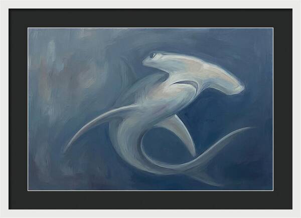 Graceful Hammerhead Shark