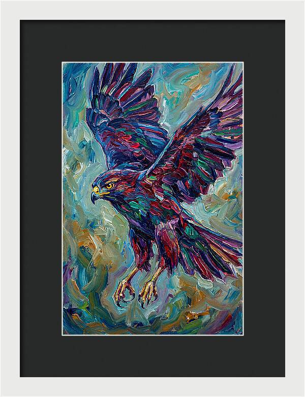 Graceful Hawk In Flight