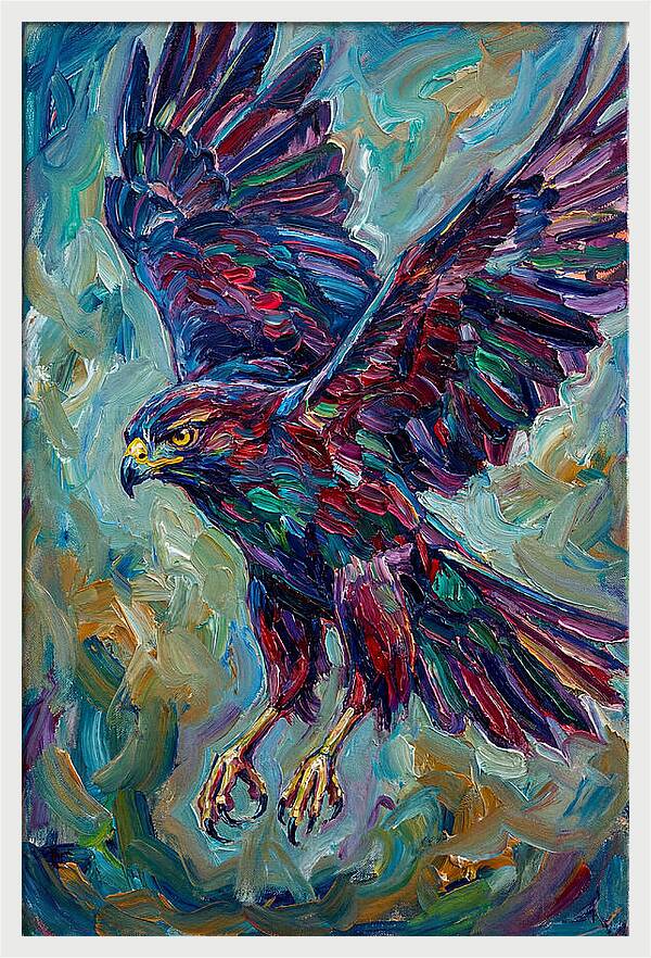 Graceful Hawk In Flight