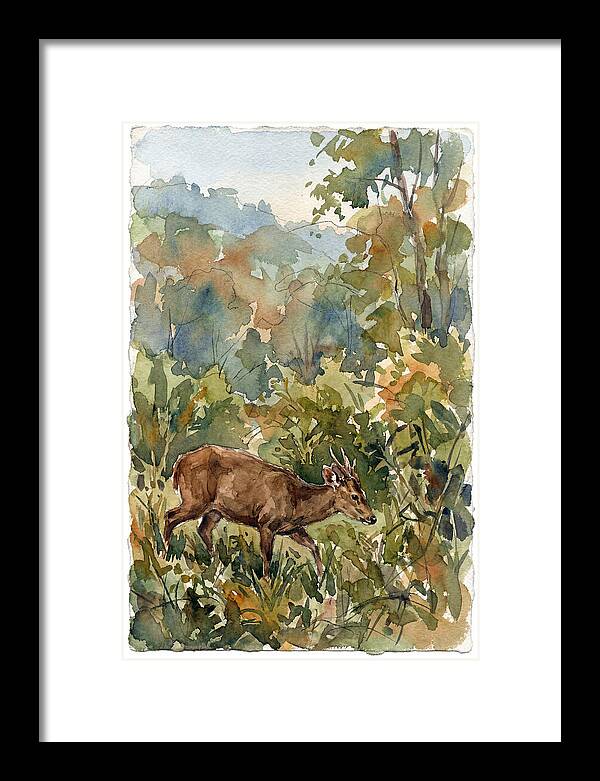 Graceful Hog Deer Amongst Foliage