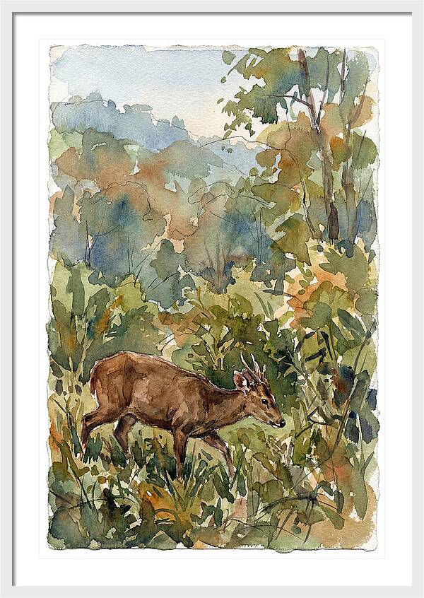 Graceful Hog Deer Amongst Foliage