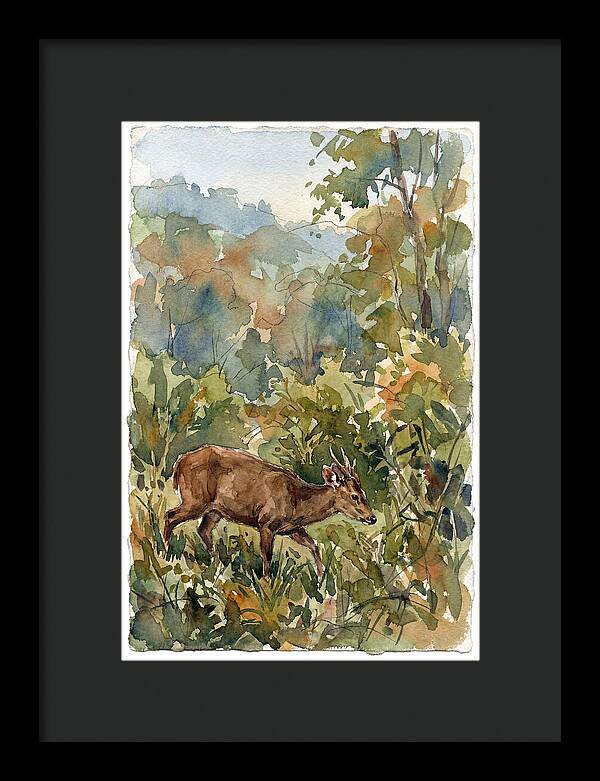 Graceful Hog Deer Amongst Foliage