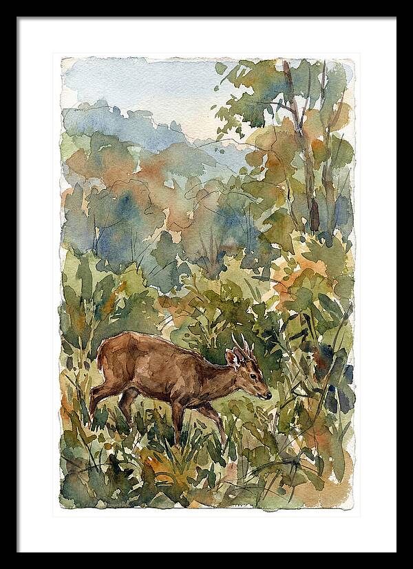 Graceful Hog Deer Amongst Foliage