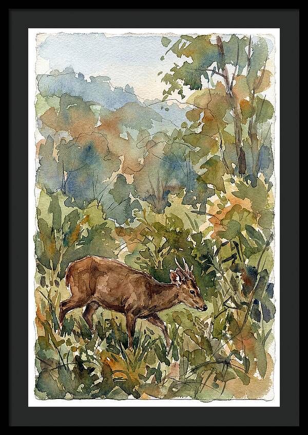 Graceful Hog Deer Amongst Foliage