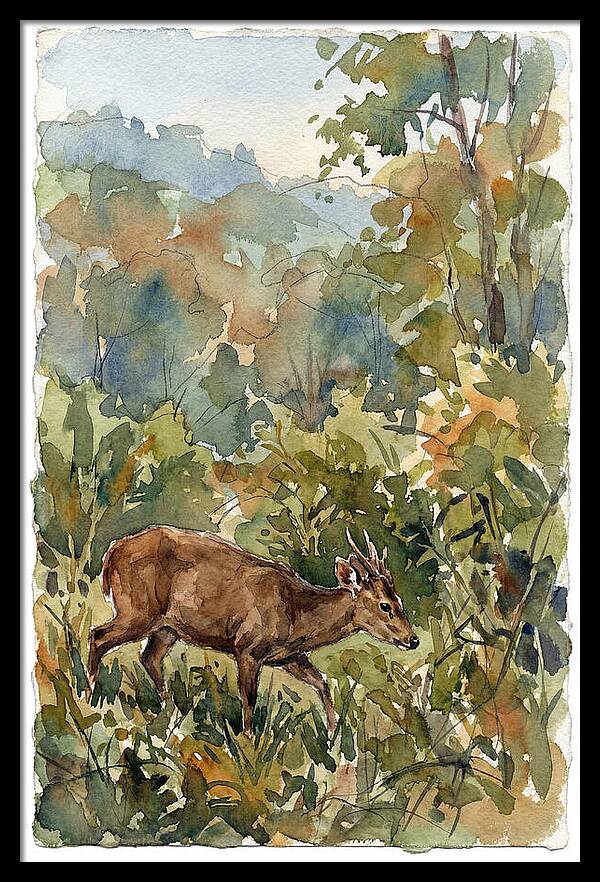 Graceful Hog Deer Amongst Foliage
