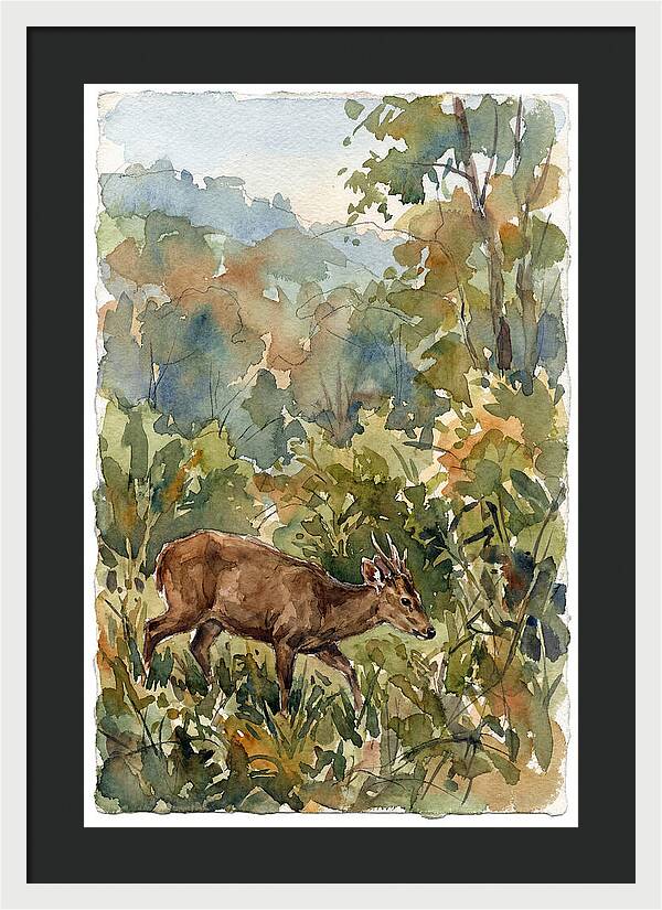 Graceful Hog Deer Amongst Foliage