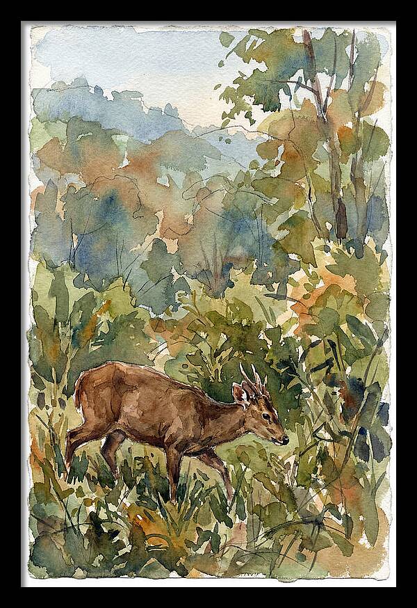 Graceful Hog Deer Amongst Foliage