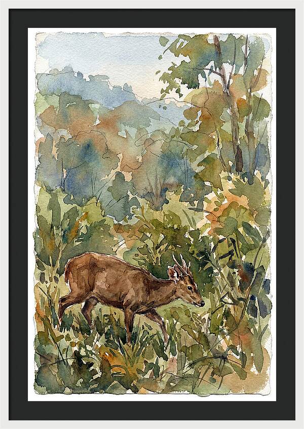 Graceful Hog Deer Amongst Foliage