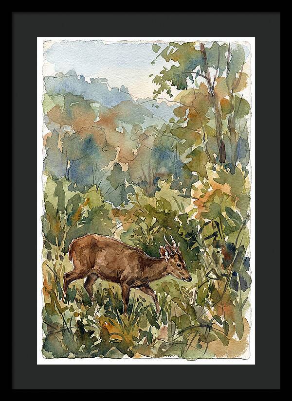 Graceful Hog Deer Amongst Foliage