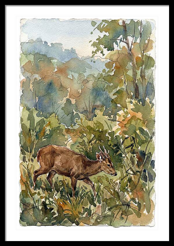 Graceful Hog Deer Amongst Foliage