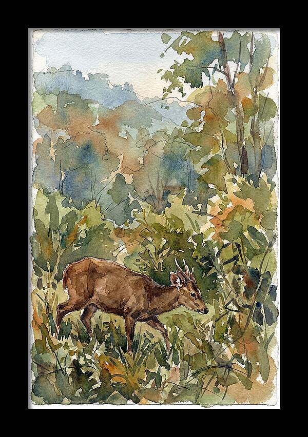 Graceful Hog Deer Amongst Foliage