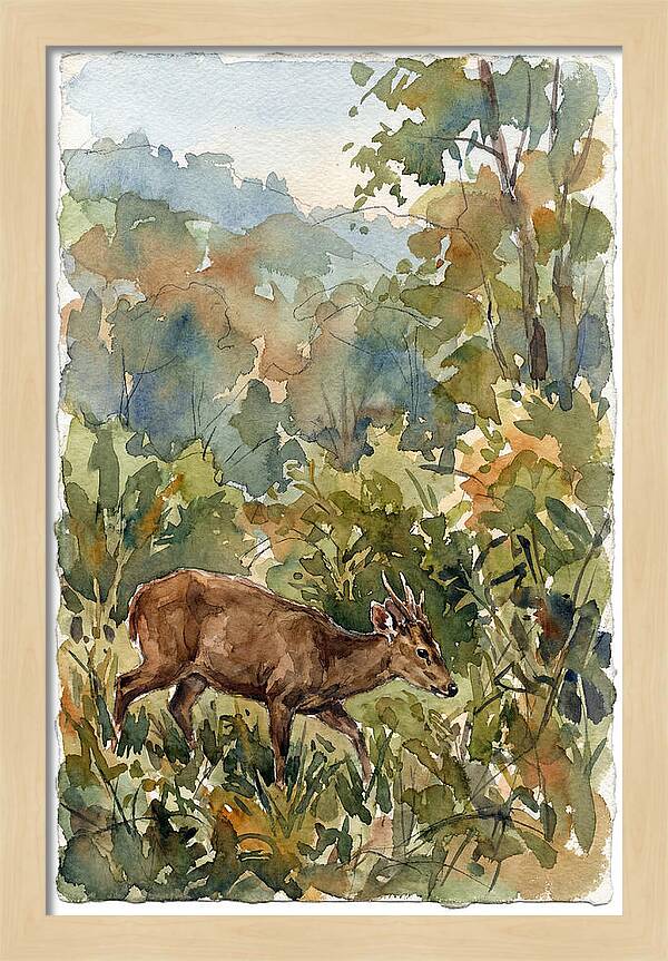 Graceful Hog Deer Amongst Foliage