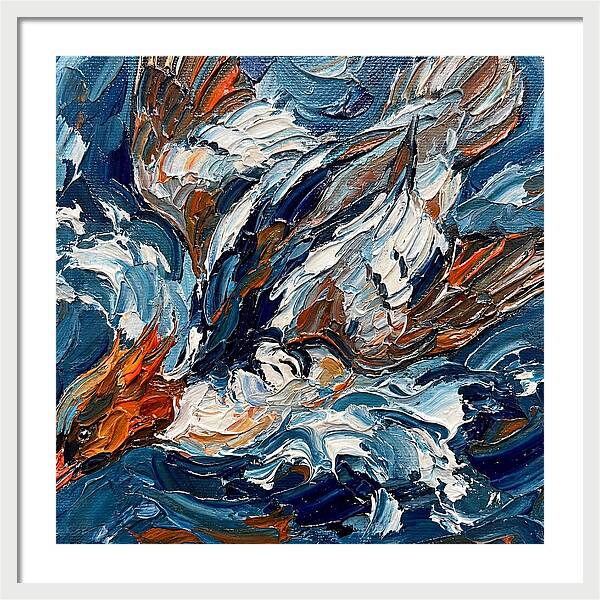 Graceful Merganser Glide