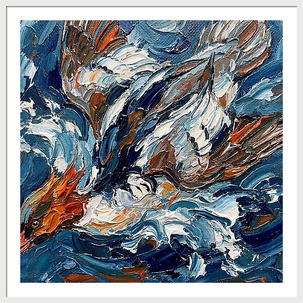 Graceful Merganser Glide