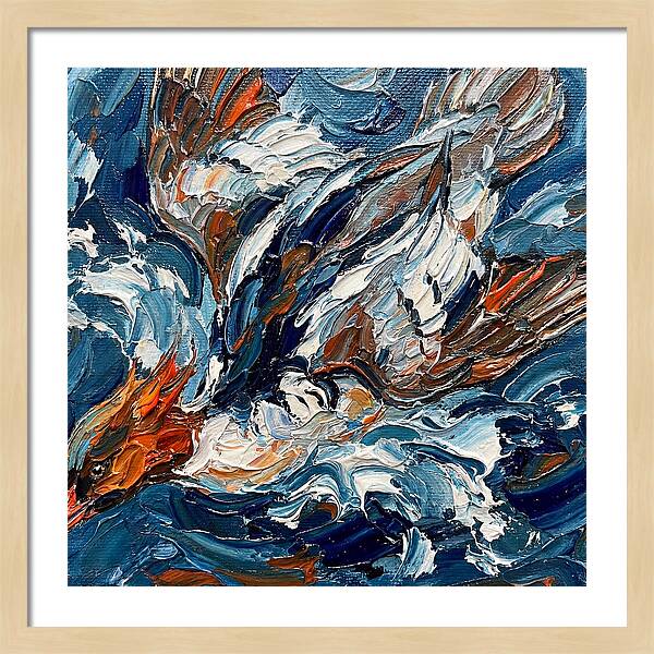 Graceful Merganser Glide