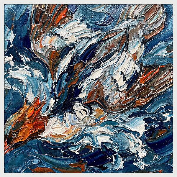 Graceful Merganser Glide