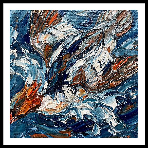 Graceful Merganser Glide