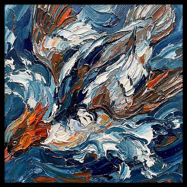 Graceful Merganser Glide
