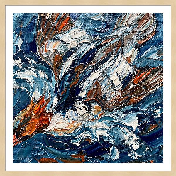 Graceful Merganser Glide