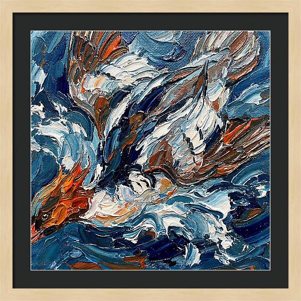 Graceful Merganser Glide