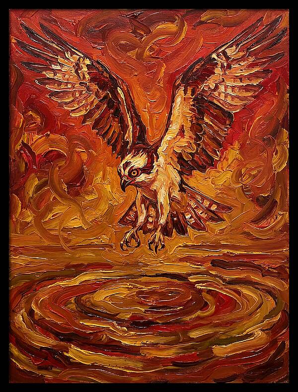Graceful Osprey In Flight