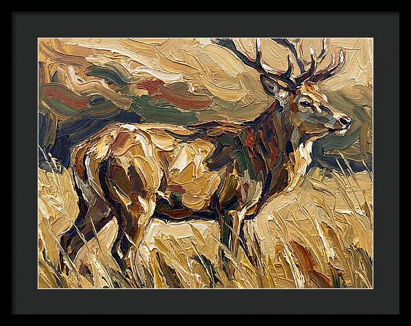 Graceful Pampas Deer Amongst Grass