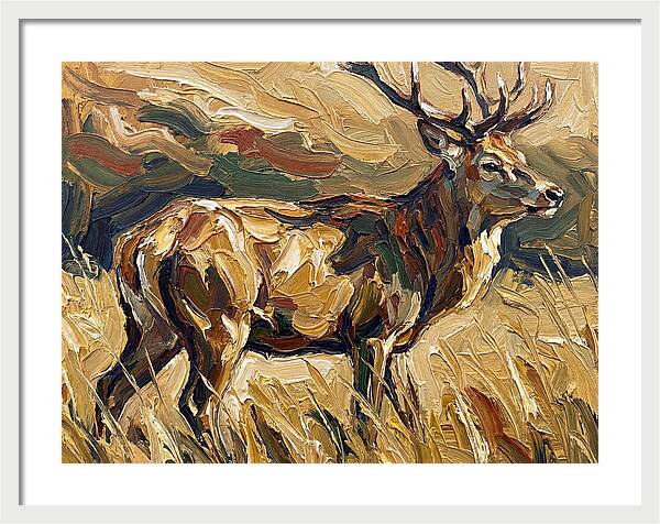 Graceful Pampas Deer Amongst Grass