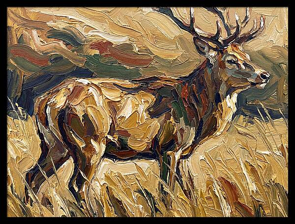 Graceful Pampas Deer Amongst Grass