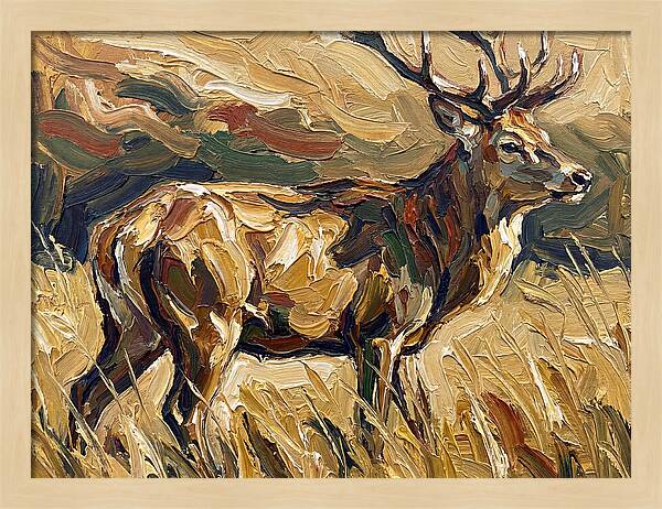 Graceful Pampas Deer Amongst Grass
