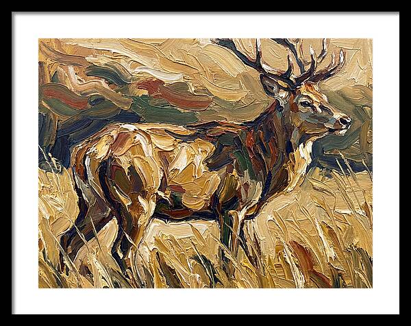 Graceful Pampas Deer Amongst Grass